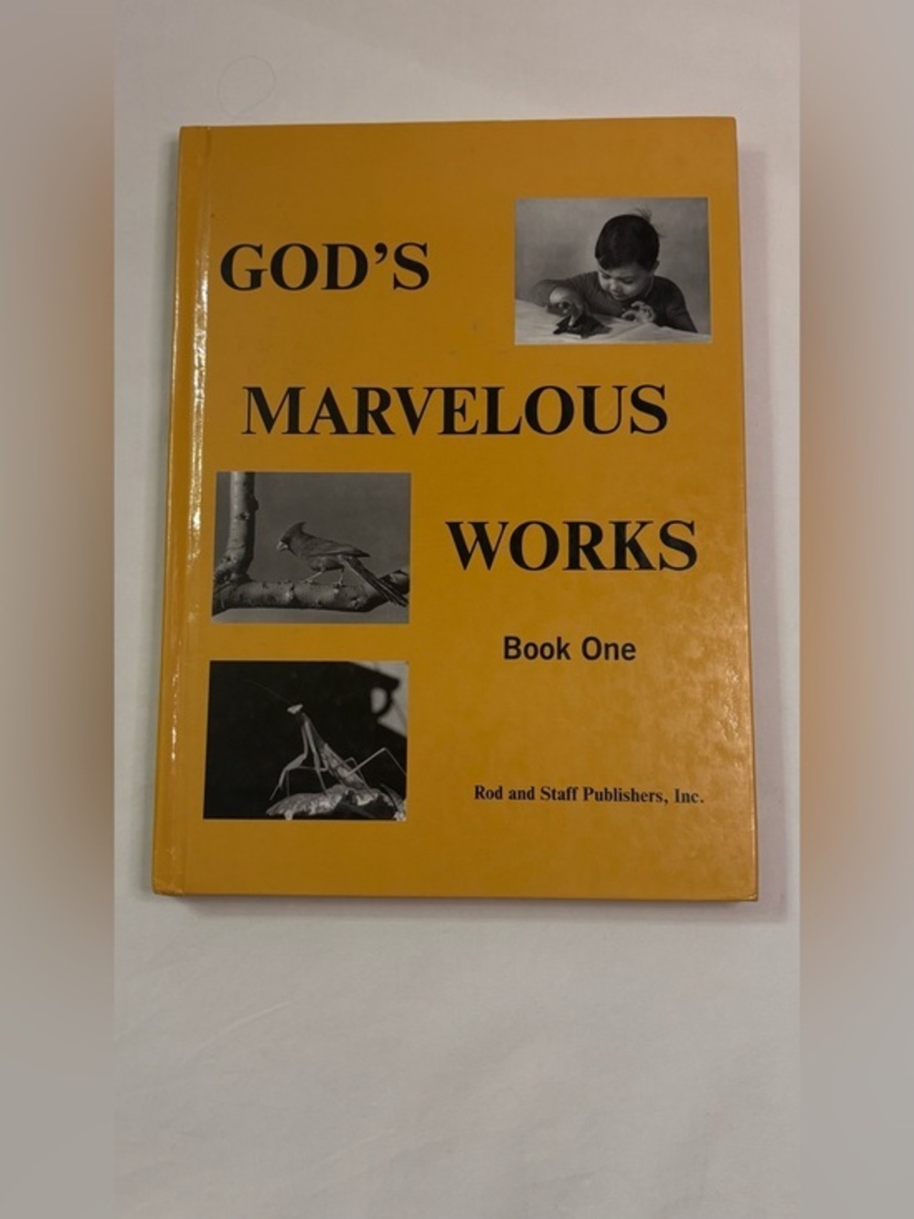 God's Marvelous Works Book One - Yellow Cover